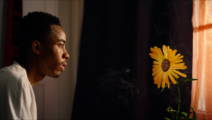 A young person and a yellow plant with a human's face looking at each other.