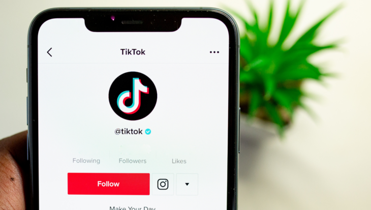 A person holding a mobile phone, open on the TikTok app and profile. In the background is a potted plant.