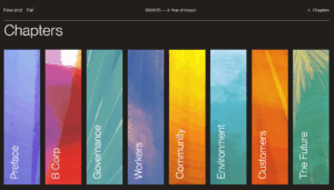 A screenshot of the Few and Far 2024/25 Impact page showcasing a colour-blocked table of contents split into categories