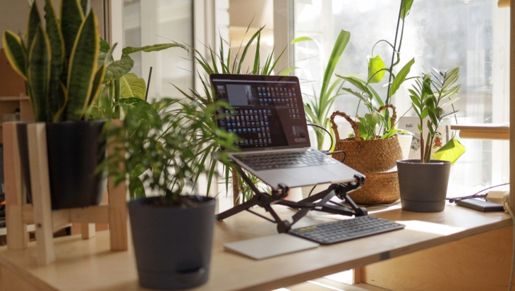 In a room with lots of natural light and big windows sits a laptop and several plants.