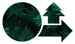 Be Green AI